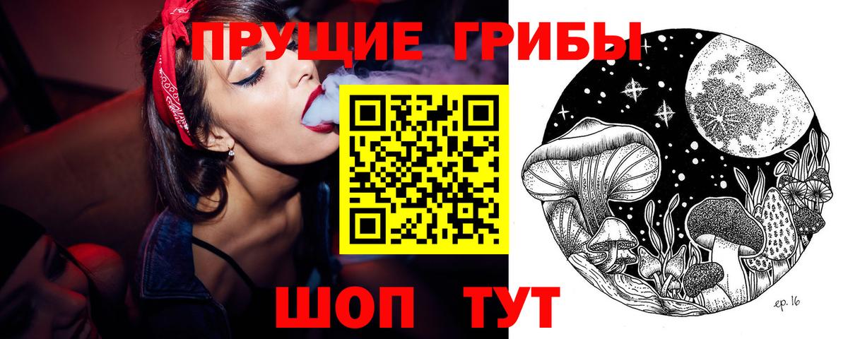 Псилоцибиновые грибы Psilocybe Старая Купавна